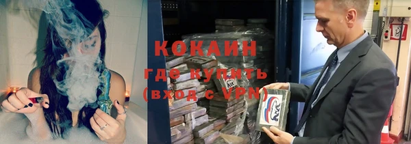 ECSTASY Алзамай