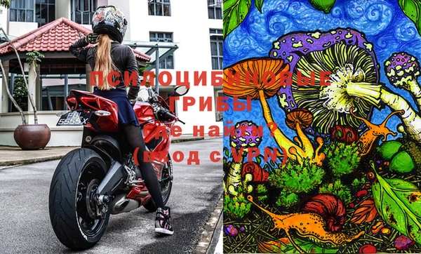 эйфоретик Алексин