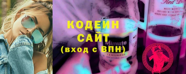 ECSTASY Алзамай
