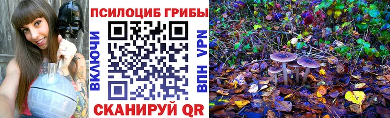 Галлюциногенные грибы MAGIC MUSHROOMS  кракен зеркало  Чебоксары 