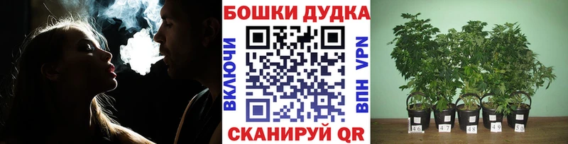 Бошки марихуана гибрид  дарнет шоп  Чебоксары 
